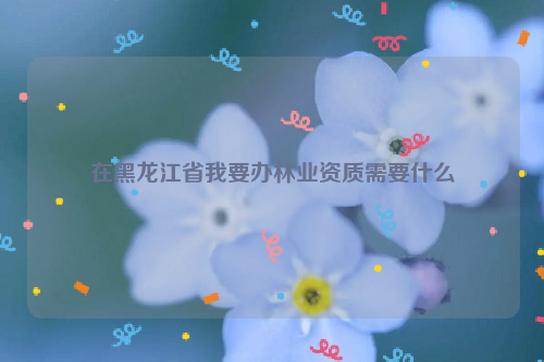 在黑龍江省我要辦林業資質需要什么