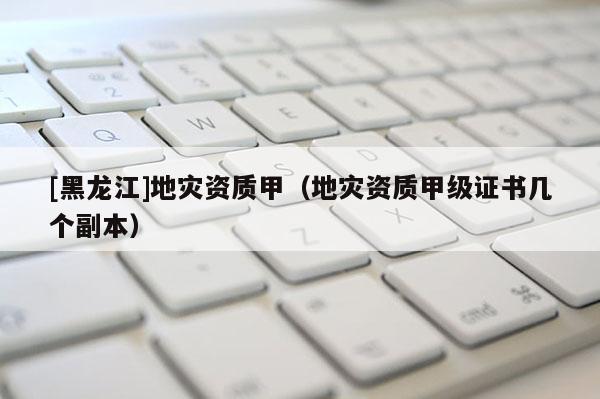 [黑龍江]地災資質甲（地災資質甲級證書幾個副本）