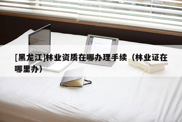 [黑龍江]林業資質在哪辦理手續（林業證在哪里辦）