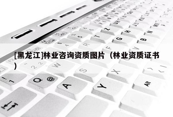 [黑龍江]林業咨詢資質圖片（林業資質證書）