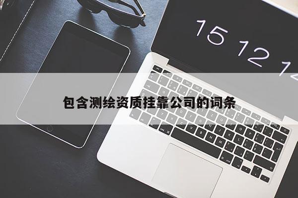 包含測繪資質(zhì)掛靠公司的詞條