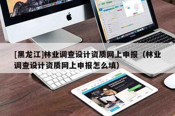 [黑龍江]林業調查設計資質網上申報（林業調查設計資質網上申報怎么填）