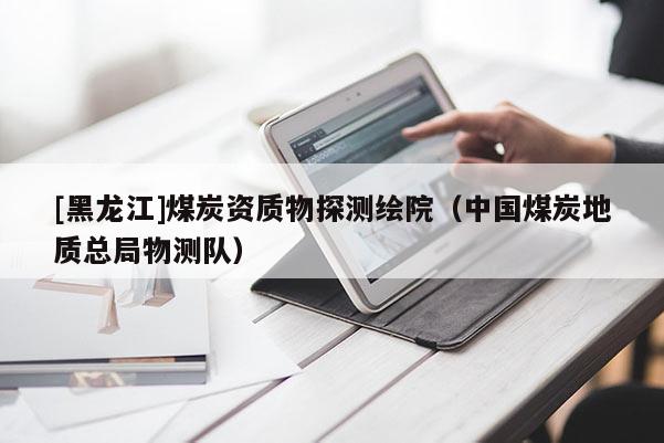 [黑龍江]煤炭資質物探測繪院（中國煤炭地質總局物測隊）