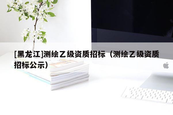 [黑龍江]測繪乙級資質招標（測繪乙級資質招標公示）