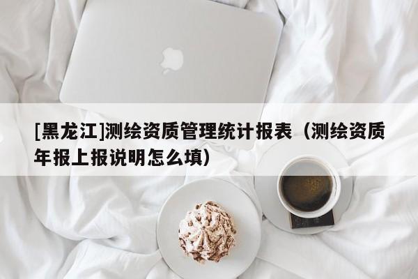 [黑龍江]測繪資質管理統計報表（測繪資質年報上報說明怎么填）