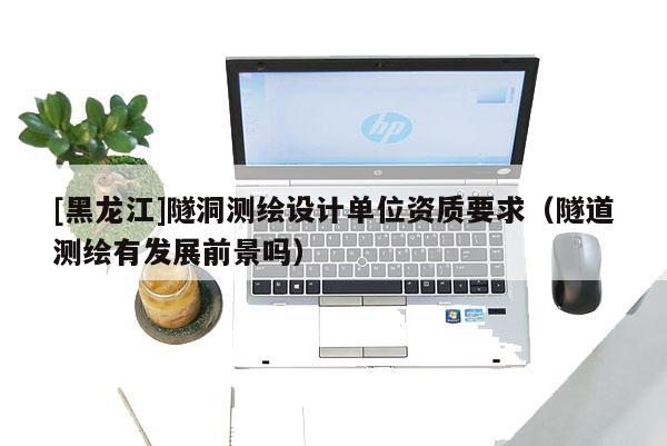 [黑龍江]隧洞測繪設計單位資質要求（隧道測繪有發展前景嗎）