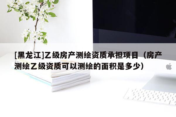 [黑龍江]乙級房產測繪資質承擔項目（房產測繪乙級資質可以測繪的面積是多少）