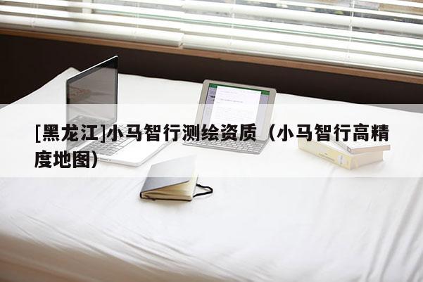 [黑龍江]小馬智行測繪資質（小馬智行高精度地圖）