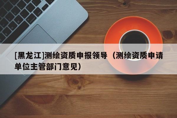 [黑龍江]測繪資質申報領導（測繪資質申請單位主管部門意見）