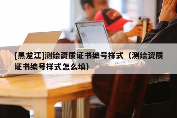 [黑龍江]測(cè)繪資質(zhì)證書編號(hào)樣式（測(cè)繪資質(zhì)證書編號(hào)樣式怎么填）