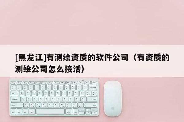 [黑龍江]有測繪資質的軟件公司（有資質的測繪公司怎么接活）