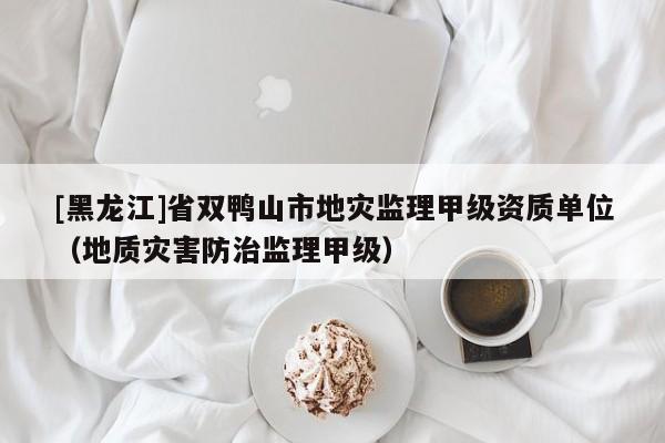 [黑龍江]省雙鴨山市地災監理甲級資質單位（地質災害防治監理甲級）